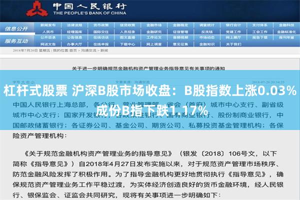 杠杆式股票 沪深B股市场收盘：B股指数上涨0.03% 成份B指下跌1.17%