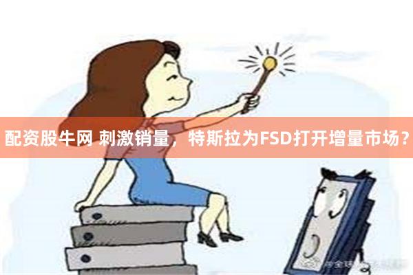 配资股牛网 刺激销量，特斯拉为FSD打开增量市场？