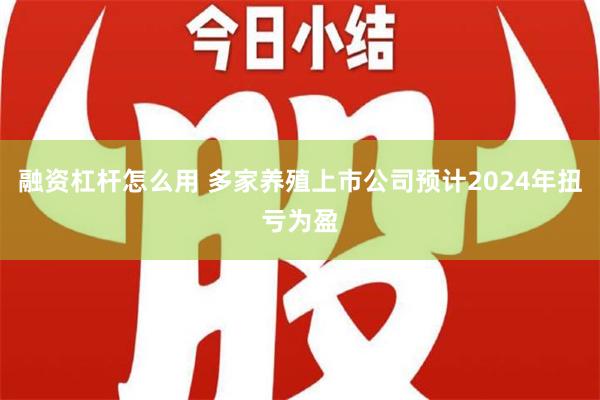 融资杠杆怎么用 多家养殖上市公司预计2024年扭亏为盈